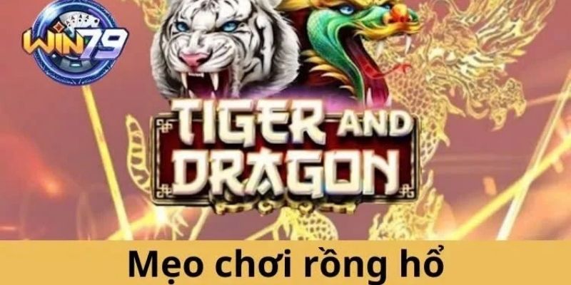 Kinh nghiệm chơi game bài Rồng Hổ dễ thắng lớn từ các chuyên gia