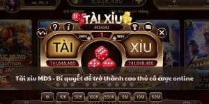 Tài xỉu MD5 - Bí quyết để trở thành cao thủ cá cược online