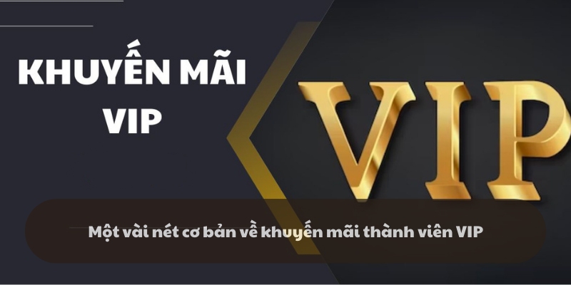 Tổng quan về khuyến mãi thành viên VIP