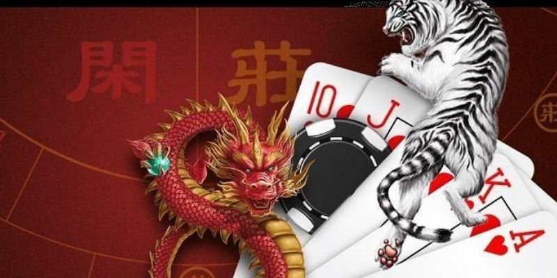 Tựa game Rồng hổ cung cấp nhiều lựa chọn cá cược cho bet thủ